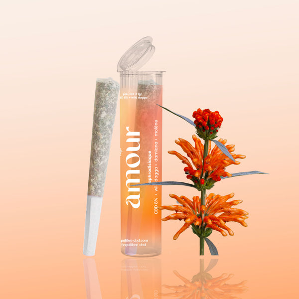 Joints de plantes au CBD 8% + wild daga