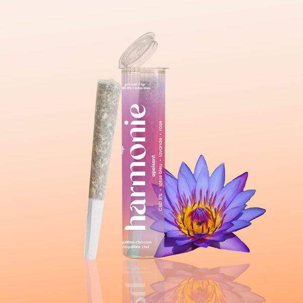 Joints de plantes au CBD 8% + lotus bleu