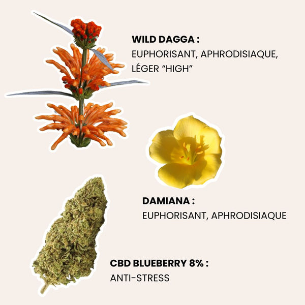 Joints de plantes au CBD 8% + wild daga