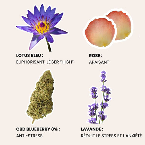 Joints de plantes au CBD 8% + lotus bleu