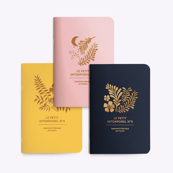 Trio petits carnets Herbes folles