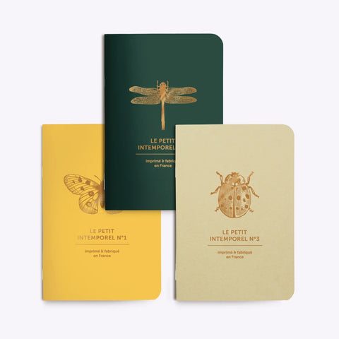 Trio petits carnets Papillons & Cie